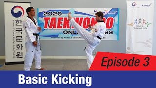 [2020 Online TKD Class] EP 3: Basic Kicking