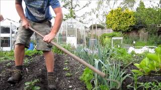 Earthing up those first early potatoes.