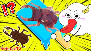 【昆虫】サンサンくもりんがクワガタアイスを食べる！？グミ？本物？虫グミをジュースで手作り♪キッズでも作れる！簡単お料理おままごと♪グミップルラボ 研究発表DX・子供向け知育教育★サンサンキッズTV★