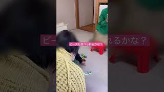 【レッスン動画】秩序の敏感期＃1歳＃リトミック＃レッスン＃楽しい #ピアノ #発表会