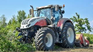 STEYR TERRUS 6270 CVT + Seppi M. Starsoil | Fresatura terreno | MORETTO