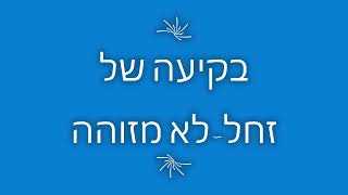 תצפית על פרפרים