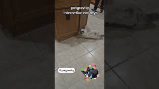 Pet Gravity interactive cat toys #cat #cats #cattoys #pets