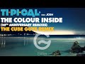 TI.PI.CAL. feat. JOSH - The colour inside (The Cube Guys remix) [Official]