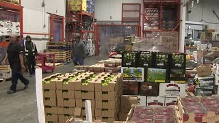 Will San Antonians miss out on avocados and bananas? A local producer says it’s unlikely