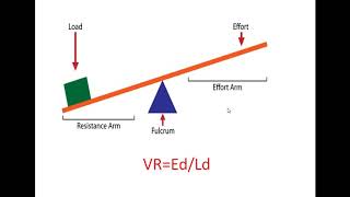 Velocity Ratio and Efficiency