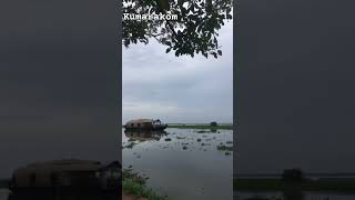 kumarakom Village boating 🛶#kumarakom #kerala #blackwaterfalls