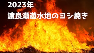 【２０２３年】渡良瀬遊水地のヨシ焼き