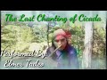 the last chanting of cicada by elmer tadeo