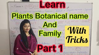 Plants Botanical Name and Family with easy Tricks | Dravyaguna | #aiapget #bams #ayurveda