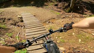 Grzyby na singlu. Międzygórze pętla niebieska. Singletrack