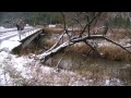 【週末猟師】朽木で鹿猟 2012 12 02 1 deer hunting in japan