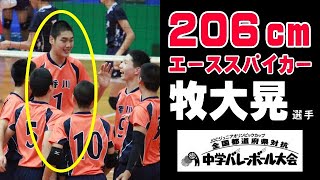 【206cmのエーススパイカー】牧大晃選手　JOC全国バレーボール大会 香川選抜vs大阪北選抜　Japanese volleyball