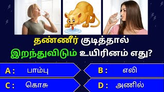 Interesting கேள்விகள் in tamil | gk tamil | general questions in tamil | gk quiz | Amazing facts 471