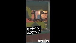 モンターニュvsタチャンカ #Shorts