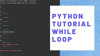 Python Tutorial Crash Course - Lesson 7 - While