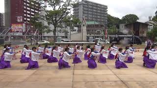 山口県立大学 奄美連合 萩組  黒崎よさこい祭り2019