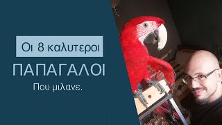 Οι 8 καλύτεροι παπαγάλοι που μιλάνε.