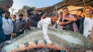 সবদিকেই জ্বালা!! সস্তার কারণে বিক্রি হচ্ছে না বিলের দেশি মাছ দুবলি বাজারে | dhaka dohar dubli bazar