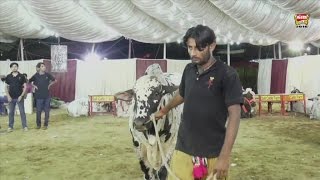 Sunnat e Ibrahim - Pakistan - 2016