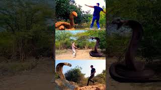 Big Anaconda #shorts #short #giant #chase #python #snake #rescue #cobra #murliwala #viral #vbfilm