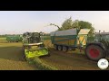 trinciato erba medica grass silage 2020 claas jaguar 970 claas pick up 300 vigano