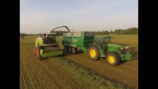 TRINCIATO ERBA MEDICA / GRASS SILAGE 2020 / CLAAS JAGUAR 970 / CLAAS PICK-UP 300 / VIGANO'