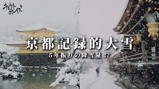 5年振りの降雪量の京都でキョウトボーイズは何してた？【金閣寺・北野天満宮】