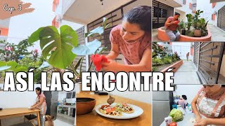 He invadido la jardinera de mi condominio con mis plantas 🪴 🌱🏡 día de jardinería y rica comida 🍲🌮