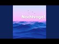 Nachtvogel I