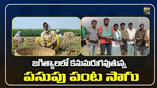 జగిత్యాలలో కనుమరుగవుతున్న పసుపు పంట సాగు | disappearing Of Turmeric Crop | BIG TV