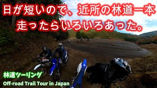 【林道ツーリングVol.064】日が短いので、近所の林道一本走ったらいろいろあった。【360°カメラ撮影】Off-Road Motorcycle Tour in Japan)