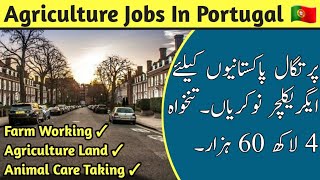 Portugal Agriculture Jobs \u0026 Work Visa || Every Visa || Hindi/Urdu ||