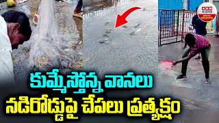 Fishes On the Road in Ambedkar Konaseema : కుమ్మేస్తోన్న వానలు నడిరోడ్డుపై చేపలు ప్రత్యక్షం | ABN