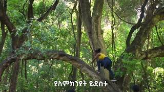 በአርባምንጭ ከተማ ይታደሱ|| ከመጋቢት 29 እስከ ሚያዝያ