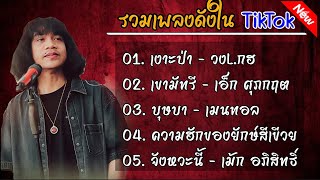 รวมเพลงดังในTikTok{เงาะป่า+เขามัทรี}#รวมเพลงลูกทุ่งฮิต