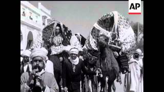 N AFRICAN FANTASIA - BISKRA FESTIVAL