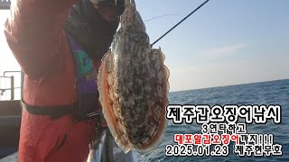 제주갑오징어낚시 3연타 그리고 대포알갑오징어 조아조아! (feat.제주현무호) #루피세피아로드 #제주갑오징어낚시 #갑오징어