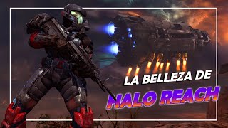 LA BELLEZA DE HALO REACH