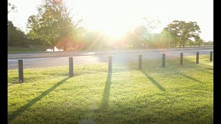 Parallel sunlight