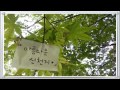 아름다운 신천지 shincheonji 당신을 기다립니다.