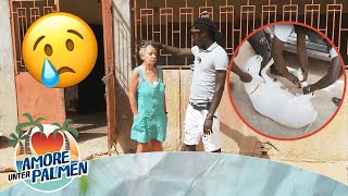 USCHI kommen die TRÄNEN 😢 Ist sie bereit OPFER zu bringen? 🐑🔪 | Amore unter Palmen | ATV