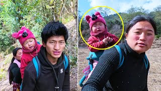 Jonson herding sheep with mom \u0026 dad || Shephards life in Himalaya Nepal@pastorallifeofnepal