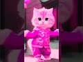 crazy dancing 😻 ｜ shorts funnycatvideos catdance shortfeed shortviral