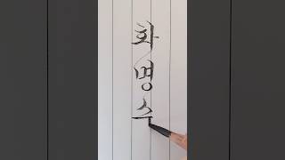 연필로 쓰는 멋진이름(화명수) #한글흘림 #손글씨 #calligraphy