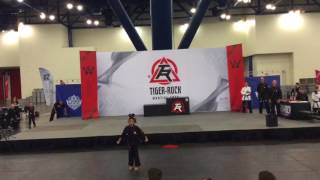 Alyss Gross Bo Staff 2017 Tiger Rock Championships Houston TX HD