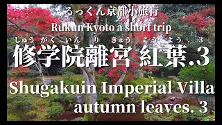 修学院離宮 紅葉 . 3  2022年11月30日【るっくん京都小旅行 4K 社寺史跡 徹底探索 Vol.0146】