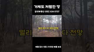 거제도 저렴한땅 /거제도 임야 1억2500/거제도땅/거제도 경사 완만한 임야     055) 634 0737 거제도 금성부동산