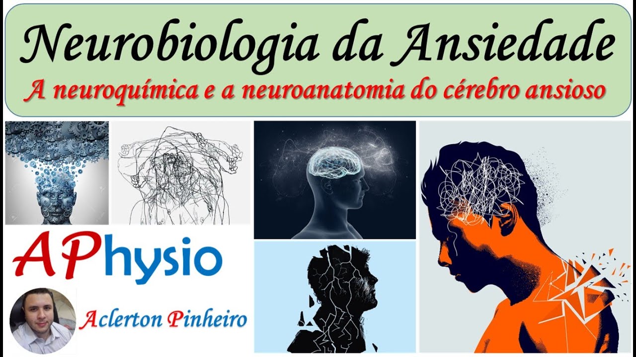 Neurobiologia Da Ansiedade - YouTube