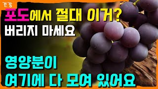 포도에서 이거? 절대 버리시면 안됩니다. 영양분이 여기에 다 모여 있어요